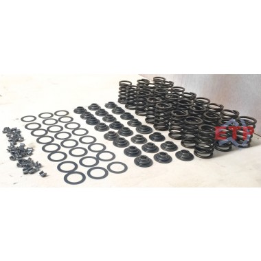 Spring Kit for Toyota 1FZ 80 & 100 Series