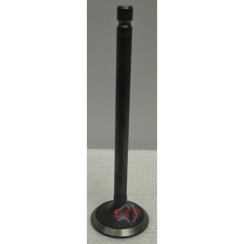 Inlet Valve for Ford and Mazda WL