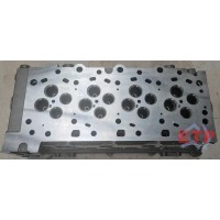 CHD4CB-VGTN-06