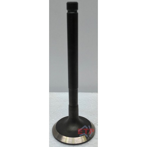 Exhaust Valve for Toyota 1KZTE