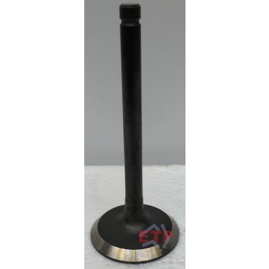 Inlet Valve for Toyota 1KZTE