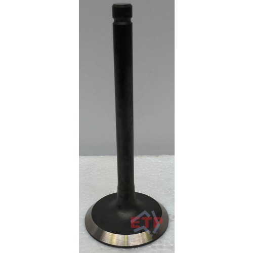 Inlet Valve for Toyota 1KZTE