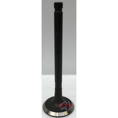 Exhaust Valve for Toyota 22R
