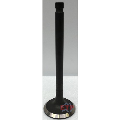 Exhaust Valve for Toyota 22R