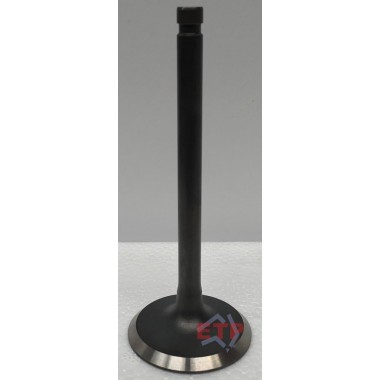 Inlet Valve for Toyota 22R