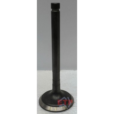 Exhaust Valve for Toyota 2RZ