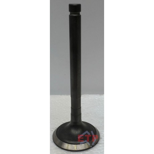 Exhaust Valve for Toyota 2RZ