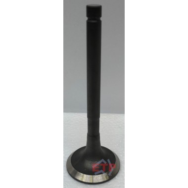 Exhaust Valve for Toyota 3L