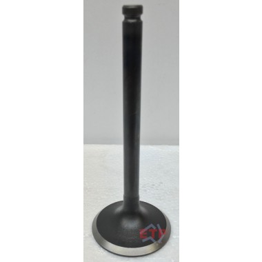 Inlet Valve for Mitsubishi 4G63