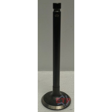 Exhaust Valve for Mazda FE