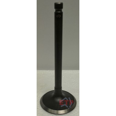 Inlet Valve for Mazda FE