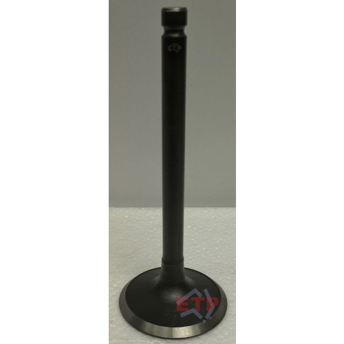 Inlet Valve for Mazda FE