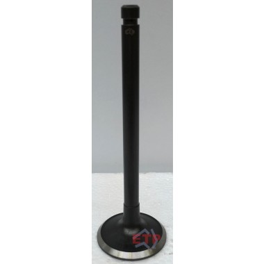 Exhaust Valve for Nissan TB42