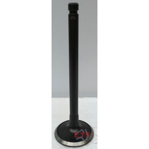 Exhaust Valve for Nissan TB42