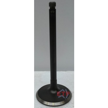 Inlet Valve for Nissan TB42
