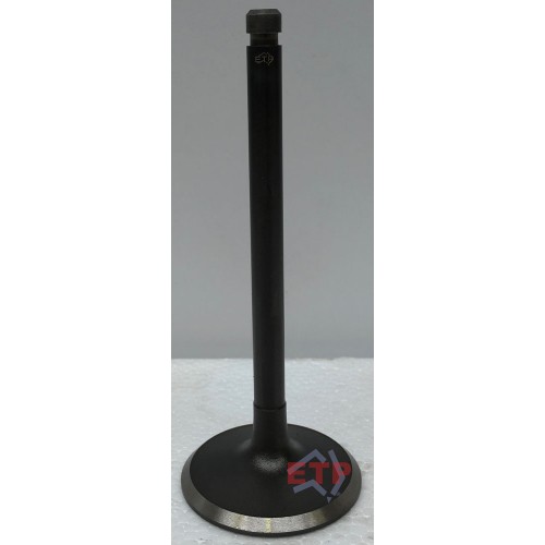 Inlet Valve for Nissan TB42