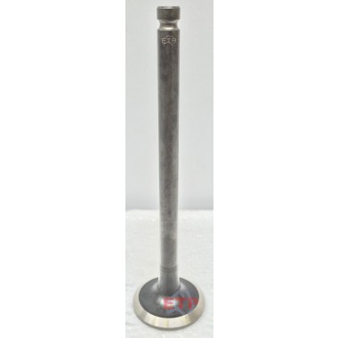 Exhaust Valve for Nissan ZD30