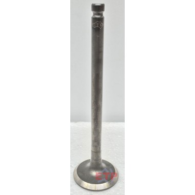 Inlet Valve for Nissan ZD30
