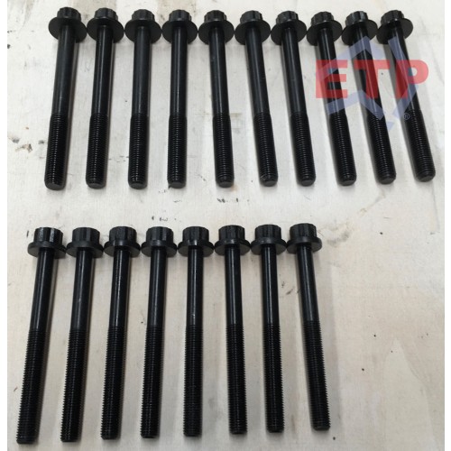 Head Bolt Kit for Ford and Mazda WL